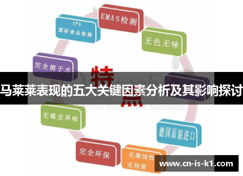 马莱莱表现的五大关键因素分析及其影响探讨