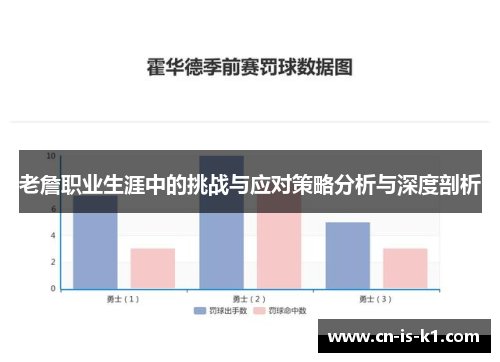 老詹职业生涯中的挑战与应对策略分析与深度剖析