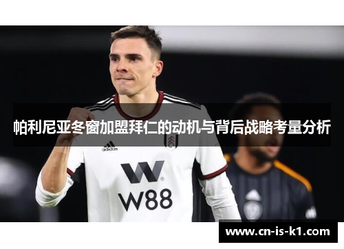 帕利尼亚冬窗加盟拜仁的动机与背后战略考量分析