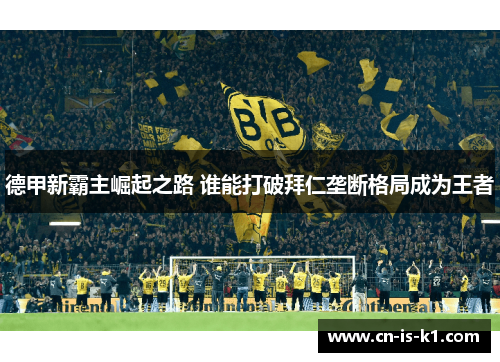 德甲新霸主崛起之路 谁能打破拜仁垄断格局成为王者