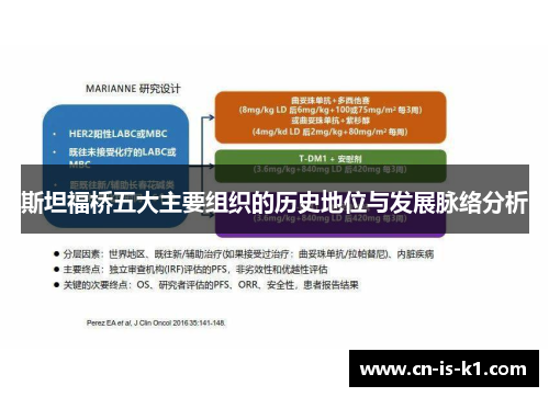 斯坦福桥五大主要组织的历史地位与发展脉络分析