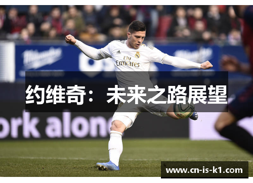 约维奇：未来之路展望