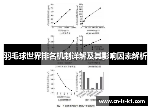 羽毛球世界排名机制详解及其影响因素解析