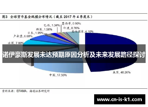 诺伊豪斯发展未达预期原因分析及未来发展路径探讨